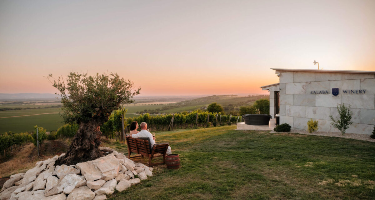 Zalaba Winery – Muzsla ízei, családi hagyományokra építve