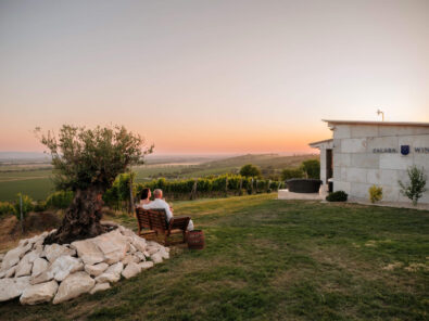 Zalaba Winery – Muzsla ízei, családi hagyományokra építve